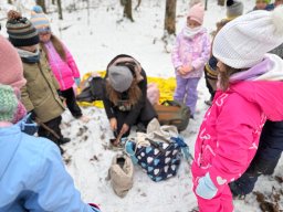 Udział klas 1b i 1c w PROJEKCIE DZIECI LASU 